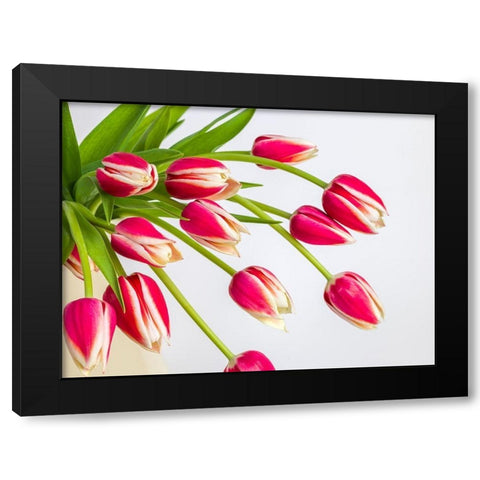 Bunch of red tulips Black Modern Wood Framed Art Print by Frank, Assaf