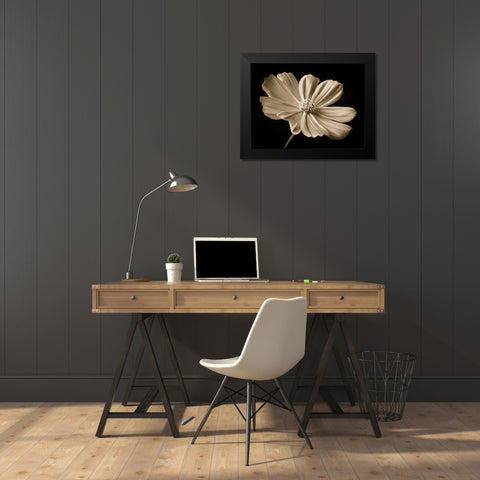 Cosmos flower Black Modern Wood Framed Art Print by Frank, Assaf