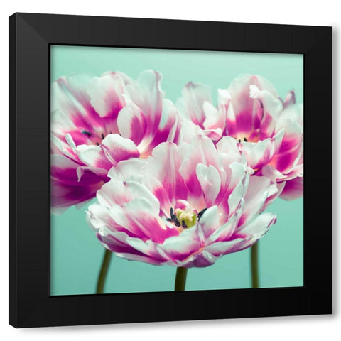 Three tulips Black Modern Wood Framed Art Print by Frank, Assaf