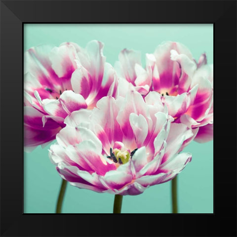 Three tulips Black Modern Wood Framed Art Print by Frank, Assaf