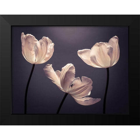 Three Tulips, FTBR-1824 Black Modern Wood Framed Art Print by Frank, Assaf