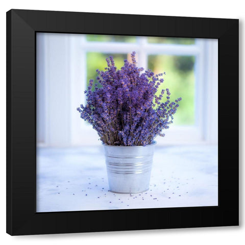 Bunch of lavender in vase by the window - Indoors Black Modern Wood Framed Art Print with Double Matting by Frank, Assaf