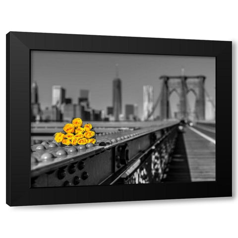 Bunch of roses on Brooklyn Bridge, New York Black Modern Wood Framed Art Print with Double Matting by Frank, Assaf