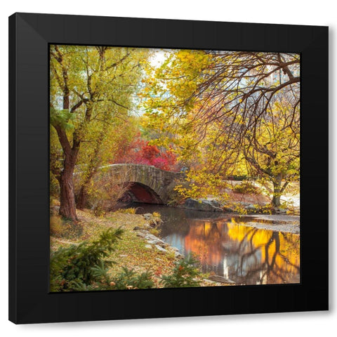 Gapstow bridge in autumn-Central Park-New York city Black Modern Wood Framed Art Print with Double Matting by Frank, Assaf