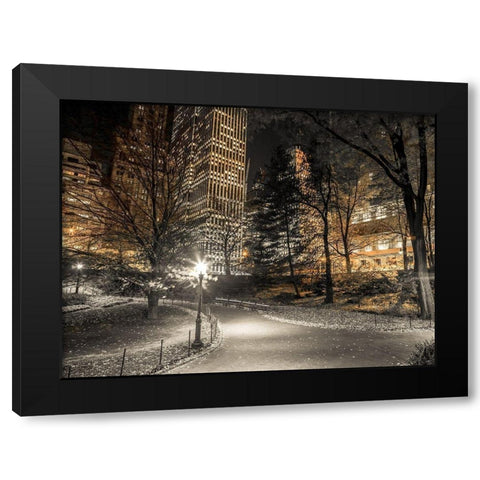 Evening view of Central Park in New York City Black Modern Wood Framed Art Print with Double Matting by Frank, Assaf