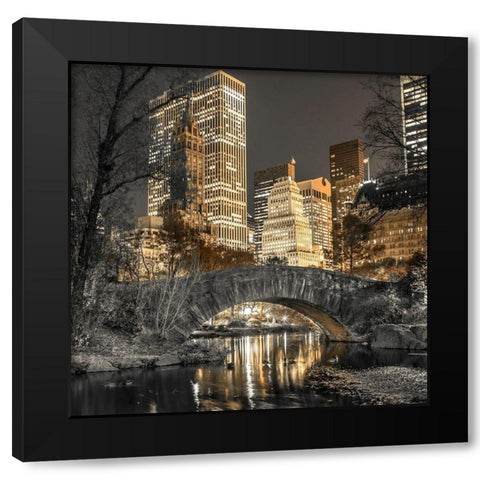 Evening view of Central Park in New York City Black Modern Wood Framed Art Print with Double Matting by Frank, Assaf