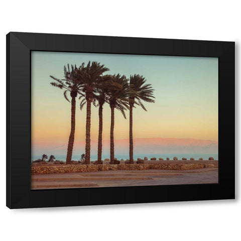 Palm trees on beach of Dead sea, Israel Black Modern Wood Framed Art Print by Frank, Assaf