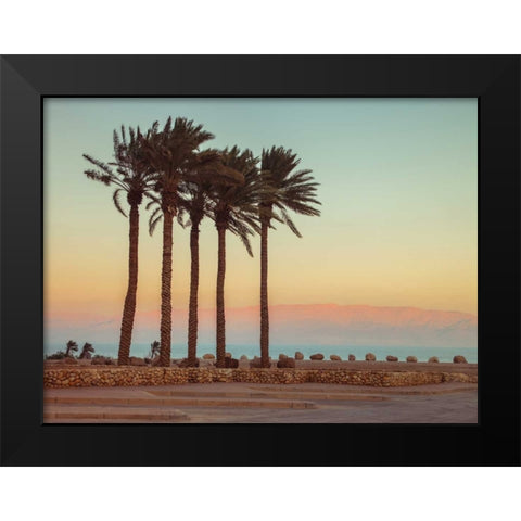 Palm trees on beach of Dead sea, Israel Black Modern Wood Framed Art Print by Frank, Assaf