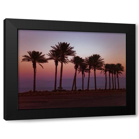 Palm trees on beach of Dead sea, Israel Black Modern Wood Framed Art Print with Double Matting by Frank, Assaf