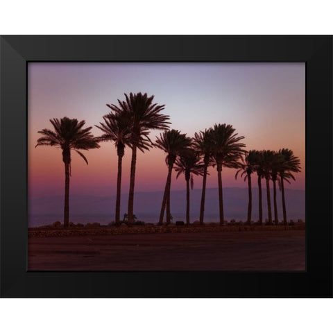 Palm trees on beach of Dead sea, Israel Black Modern Wood Framed Art Print by Frank, Assaf