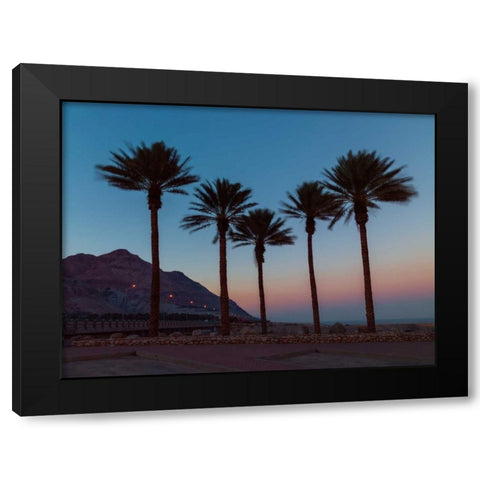 Palm trees on beach of Dead sea, Israel Black Modern Wood Framed Art Print with Double Matting by Frank, Assaf