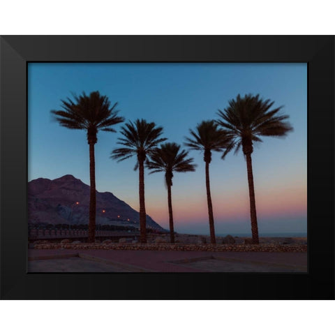 Palm trees on beach of Dead sea, Israel Black Modern Wood Framed Art Print by Frank, Assaf