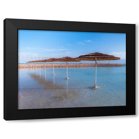 Parasol on Dead sea, Israel Black Modern Wood Framed Art Print with Double Matting by Frank, Assaf
