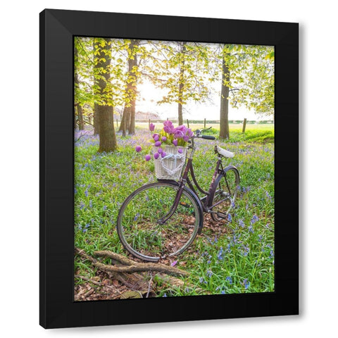 Bicycle in spring forest with bunch of flowers Black Modern Wood Framed Art Print by Frank, Assaf
