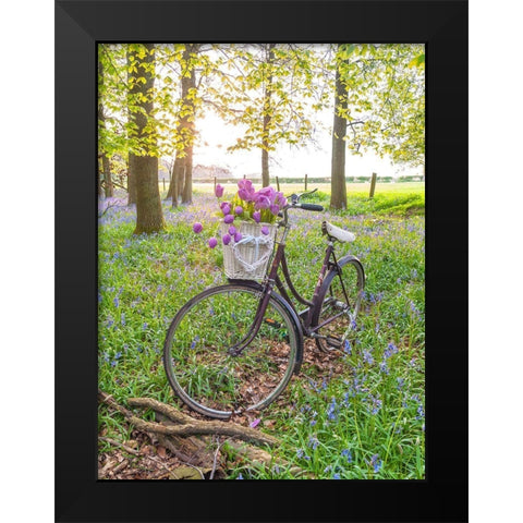 Bicycle in spring forest with bunch of flowers Black Modern Wood Framed Art Print by Frank, Assaf
