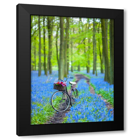 Bicycle in spring forest Black Modern Wood Framed Art Print with Double Matting by Frank, Assaf