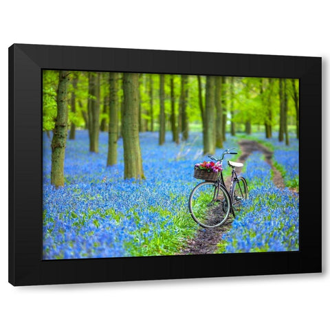 Bicycle in spring forest Black Modern Wood Framed Art Print by Frank, Assaf