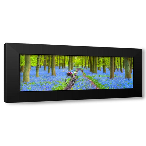 Bicycle in spring forest Black Modern Wood Framed Art Print with Double Matting by Frank, Assaf