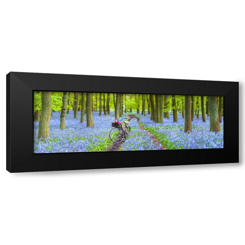 Bicycle in spring forest Black Modern Wood Framed Art Print with Double Matting by Frank, Assaf