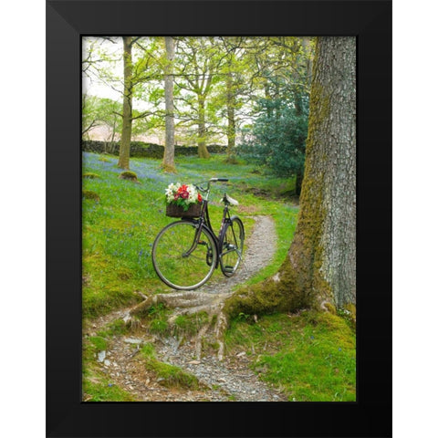 Bicycle in spring forest Black Modern Wood Framed Art Print by Frank, Assaf