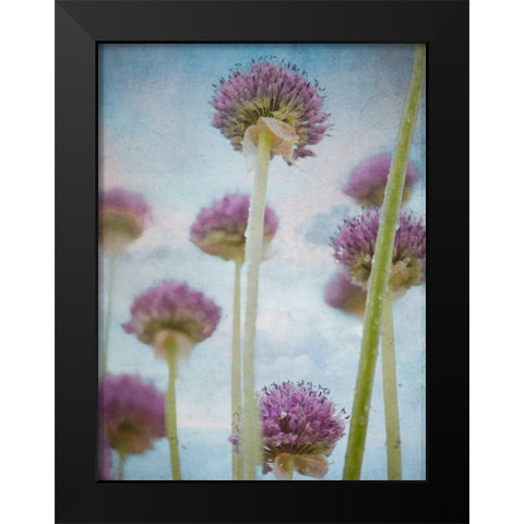 Beautiful Allium flowers Black Modern Wood Framed Art Print by Frank, Assaf