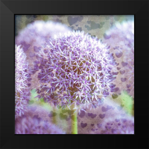 Colorful Anemone flowers in garden Black Modern Wood Framed Art Print by Frank, Assaf