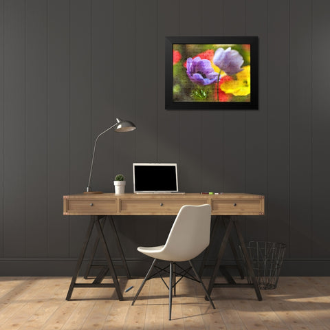 Beautiful Yellow colored Anemone flowers in garden Black Modern Wood Framed Art Print by Frank, Assaf