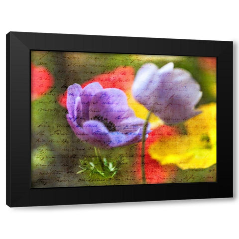 Beautiful Yellow colored Anemone flowers in garden Black Modern Wood Framed Art Print with Double Matting by Frank, Assaf