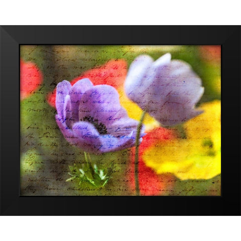 Beautiful Yellow colored Anemone flowers in garden Black Modern Wood Framed Art Print by Frank, Assaf