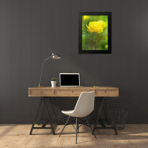 Beautiful Yellow colored Anemone flowers in garden Black Modern Wood Framed Art Print by Frank, Assaf