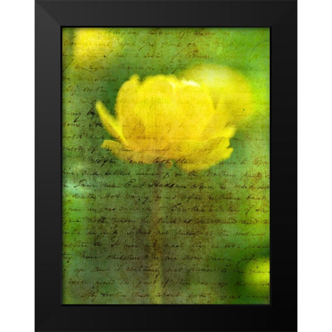 Beautiful Yellow colored Anemone flowers in garden Black Modern Wood Framed Art Print by Frank, Assaf