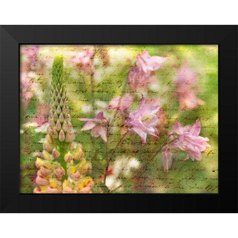 Colorful Aquilegia flowers on plants in garden Black Modern Wood Framed Art Print by Frank, Assaf