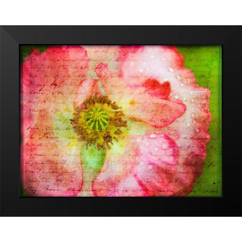 Colorful Wisteria in spring Black Modern Wood Framed Art Print by Frank, Assaf