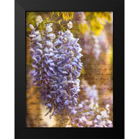 Beautiful Allium flowers Black Modern Wood Framed Art Print by Frank, Assaf