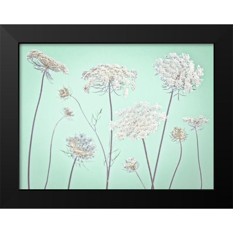 Cow parsley flowers Black Modern Wood Framed Art Print by Frank, Assaf