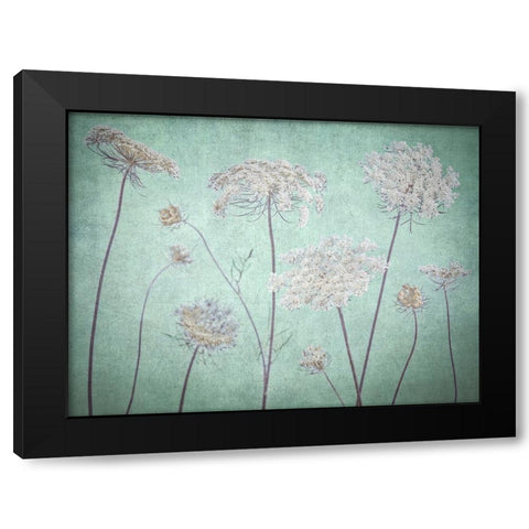 Cow parsley flowers Black Modern Wood Framed Art Print by Frank, Assaf
