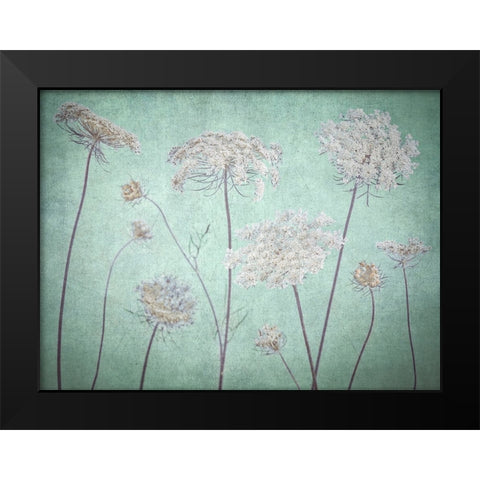 Cow parsley flowers Black Modern Wood Framed Art Print by Frank, Assaf