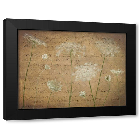Cow parsley flowers on coloured background Black Modern Wood Framed Art Print by Frank, Assaf