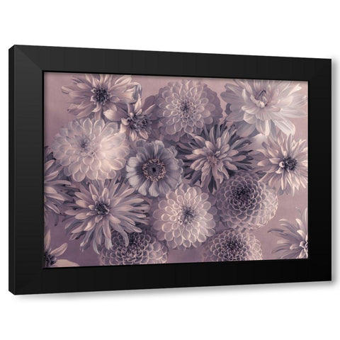 Full frame of mixed flowers Black Modern Wood Framed Art Print by Frank, Assaf