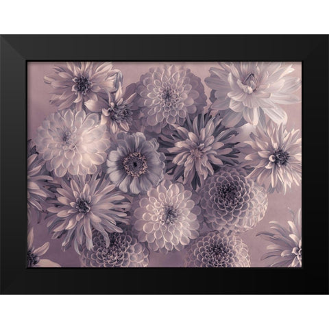 Full frame of mixed flowers Black Modern Wood Framed Art Print by Frank, Assaf