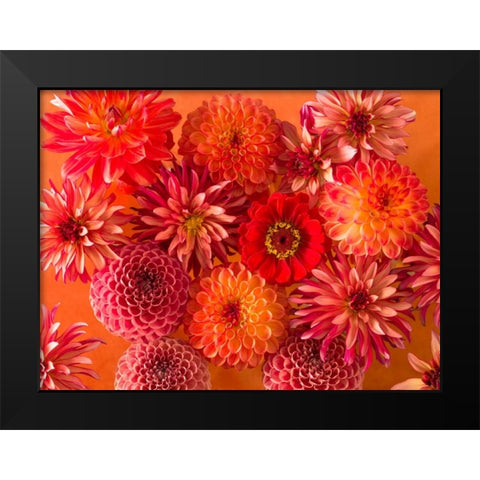 Full frame of mixed flowers Black Modern Wood Framed Art Print by Frank, Assaf