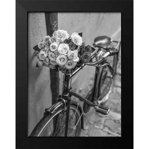 Bunch of Roses on bicycle, Paris, France Black Modern Wood Framed Art Print by Frank, Assaf