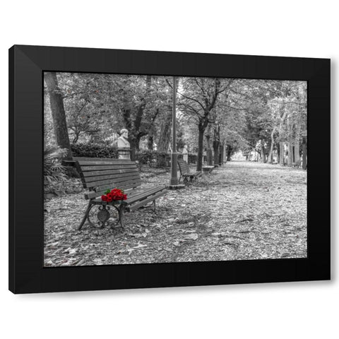 Bunch of roses on a park bench in Rome, Italy Black Modern Wood Framed Art Print with Double Matting by Frank, Assaf