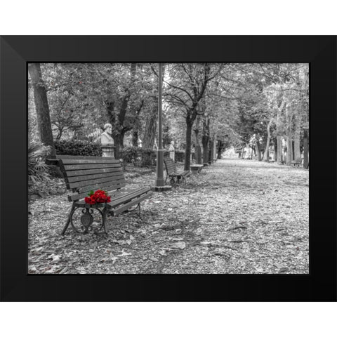 Bunch of roses on a park bench in Rome, Italy Black Modern Wood Framed Art Print by Frank, Assaf