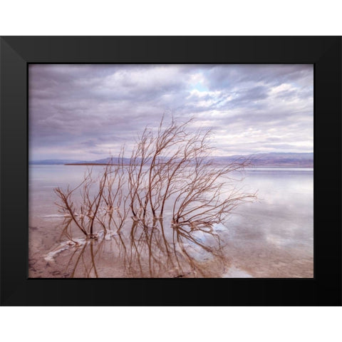 Dead Sea, Israel Black Modern Wood Framed Art Print by Frank, Assaf