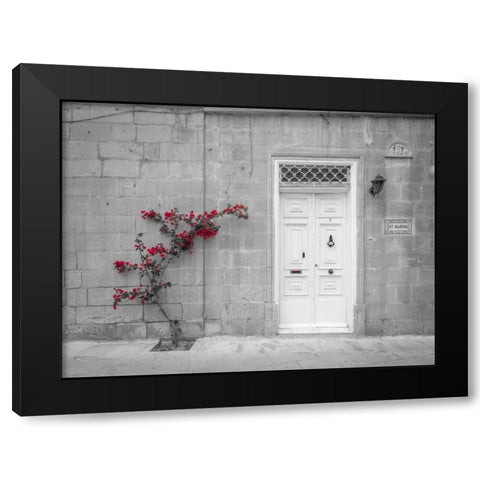 Old wooden door on house in Mdina, Malta Black Modern Wood Framed Art Print by Frank, Assaf