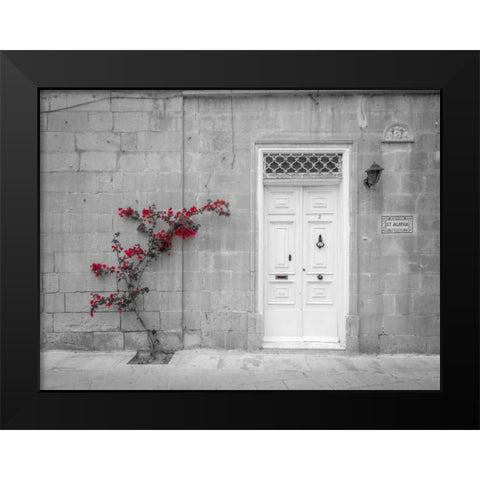 Old wooden door on house in Mdina, Malta Black Modern Wood Framed Art Print by Frank, Assaf