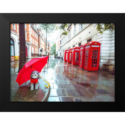 Dog with umbrella on London city street Black Modern Wood Framed Art Print by Frank, Assaf
