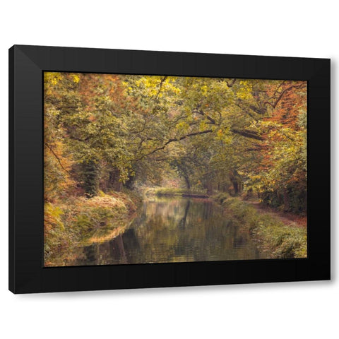 Basingstoke canal in countryside, UK, FTBR-1830 Black Modern Wood Framed Art Print with Double Matting by Frank, Assaf
