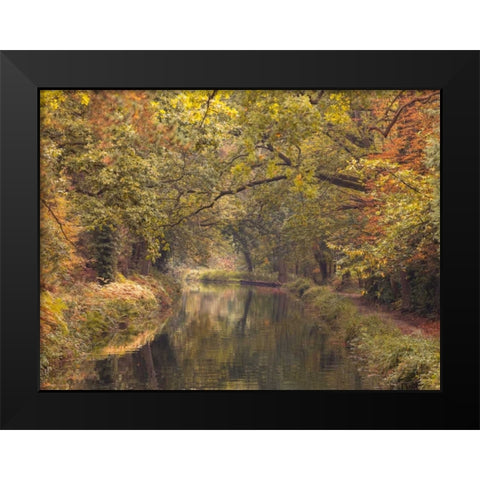 Basingstoke canal in countryside, UK, FTBR-1830 Black Modern Wood Framed Art Print by Frank, Assaf